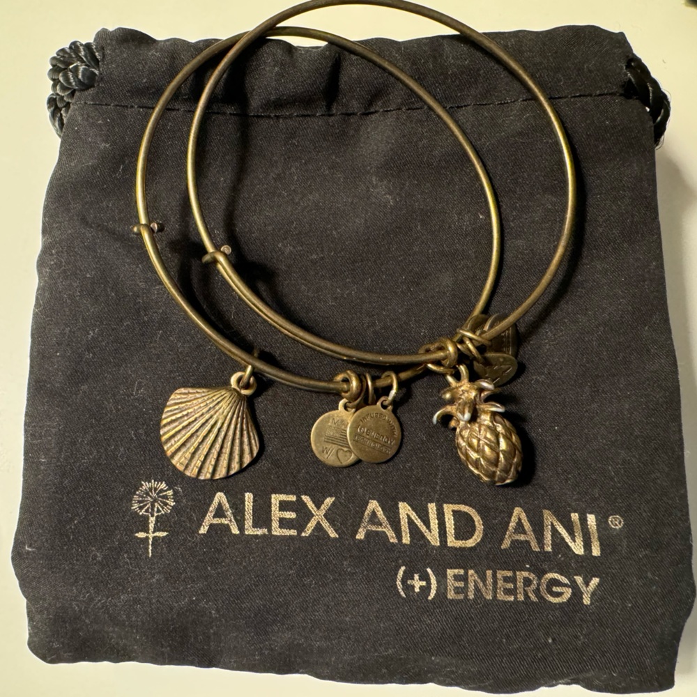 Set of 2 Alex and Ani Charm Bracelets